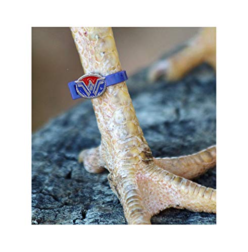 5 Chicken+Charm+Poultry+Leg+Bands