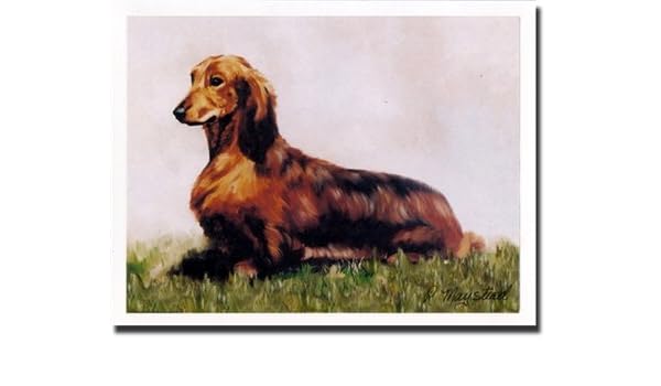 Amazon Com Longhaired Red Dachshund Notecards Pet Supplies