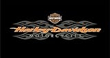 Harley-Davidson radical flames billiard cloth - 8'