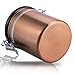 Airtight Coffee Container Storage Canister,Stainless Steel Coffee Beans Ground for Fresher Container Built-in One Way Valve(16oz, Brown)