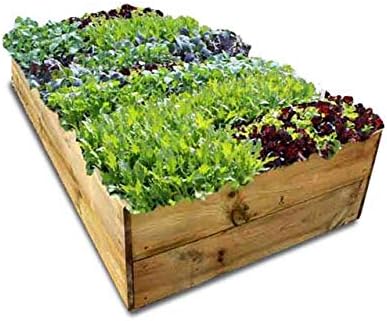 Quickcrop Classic Raised Bed Kit, Height: 35.5 cm 183 x 122 cm (6ft x 4ft)