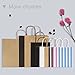 Road 16x6x12 inches Large Kraft Brown Paper Bags with Handles, Shopping, Grocery, Mechandise, Party Bags (50)