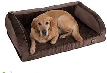 divan wellness dog sofa
