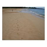 Footprints in the Sand