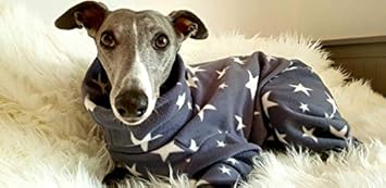 Dog and home greyhound coats Clearance