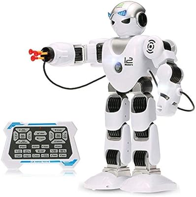 robot toy with remote
