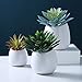 6 inch Wall Mounted Ceramic Planters Flower Plant Vase, Hanging Planters, Succulent Plant Pots, White,3PCS