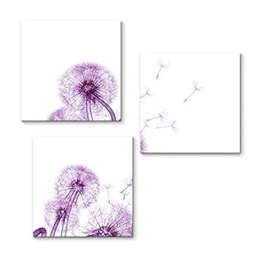 Canvas Wall Art Transparent Beautiful Flowers...