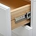 Amazon Basics AB-5001 Ball Bearing Drawer Slides, 12 Inch, Nickel Plated-Steel