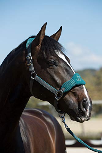 LeMieux Vogue Fleece Hoofdband met Loodtouw - Extra padding, Verstelbaar aan stoeprand en Poll Strap - Afbeelding 4