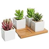 4 Piece Modern White Mini Square Cube Ceramic Succulent Planters / Flower Pots w/ Bamboo Tray - 2x2 Inch