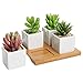 4 Piece Modern White Mini Square Cube Ceramic Succulent Planters / Flower Pots w/ Bamboo Tray - 2x2 Inch