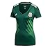 Mexico National Team 2018 World Cup Jersey Replica
