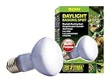 Exo Terra Sun-Glo Basking Spot Lamp, 50-Watt/120-Volt