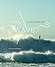 Waves: Pro Surfers and Their World by 