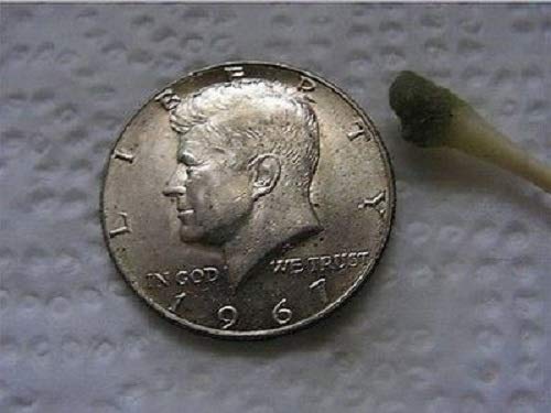 3 Conserv+Safe+Coin+Solvent+Bottle