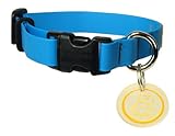 OllyDog Tilden 9-Inch by 16-Inch Collar, Small, Light Blue