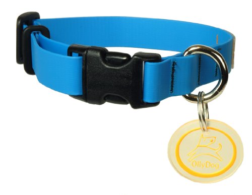 OllyDog Tilden 9-Inch by 16-Inch Collar, Small, Light Blue