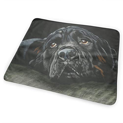 V5DGFJH.B Baby Portable Diaper Changing Pad Black Rottweiler Breed Dog Urinary Pad Baby Changing Mat 31.5" x25.5''