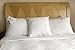 Decorative Pillow Insert (2 Pack) - Square 18x18 Sofa & Bed Pillow - Polyester Cotton Indoor White Pillows by Utopia Bedding