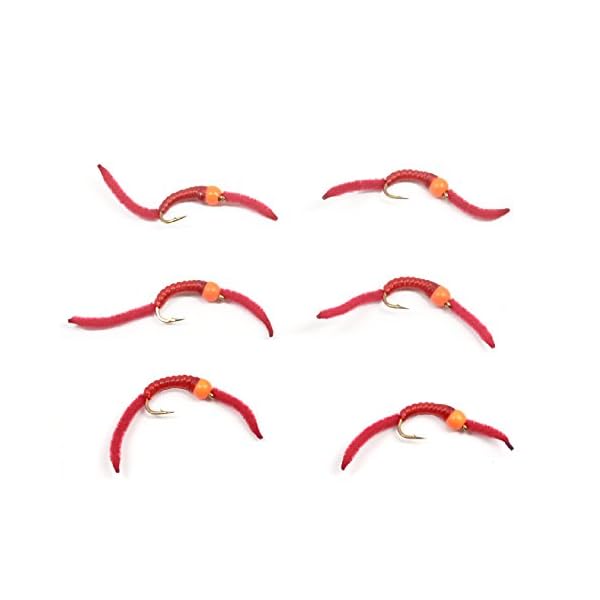 Trout-Nymph-Fly-San-Juan-Worm-Power-Bead-12-Dozen-Orange-Bead-Red-V-Rib-10-Set-of-6-Nymph-Wet-Flies