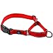 Max and Neo Nylon Martingale Collar - We Donate a Collar to a Dog Rescue for Every Collar Sold (Small, RED)