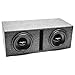 Skar Audio Dual 10