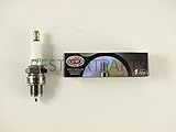 Spark Plug E6tc for Pw50 Pw80 Pw60 S133