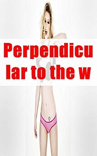 Livro Perpendicular to the world