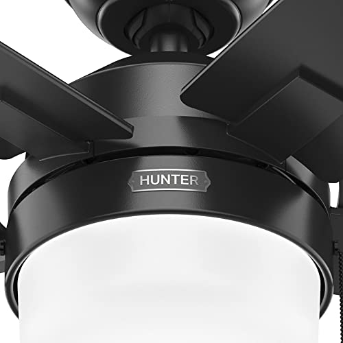 Hunter Fan Company 52485 Anisten Bedroom Ceiling Fan with LED Lights, Large Low Profile, Matte Black
