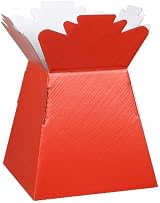 LARRYROO Glossy Vibrant Bouquet Box Red 24.5cm Display Box view 2