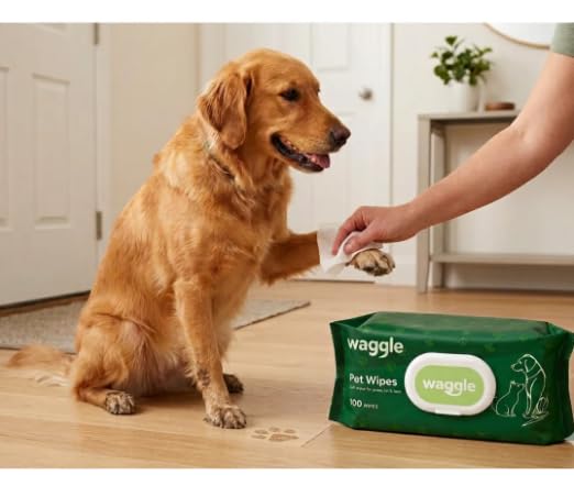 Waggle Pet Wipes for Paws, Fur and Face, Gentle and Alcohol-Free, 100 Wipes | Dog & Cat Wipes, Pet Wipes