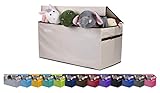 JUMBO Collapsible Toy Chest for Kids (XX-Large) Toy Organizer, Huge Storage Basket w/ Flip-Top Lid | Organizer Bin for Bedrooms, Closets, Child Nursery | Store Stuffed Animals, Games, Clothes, Shoes