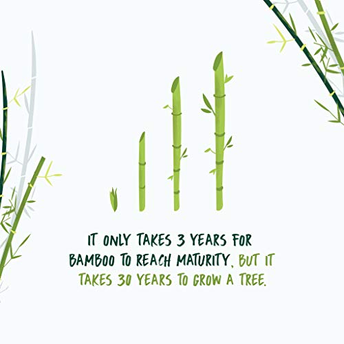 NooTrees Bamboo 3ply Bathroom Tissue, 220 Sheets, 12 Rolls, Ecofriendly, 100 Percent