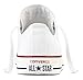 Converse Unisex Chuck Taylor All Star Seasonal Ox Sneaker