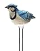 Mark Feldstein Plant Pal, Singing Bird Indoor/outdoor - Blue Jay- Lets you know when the soil is dry