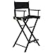 TanTan Directors Chair 30