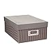 Darice 30032641 Decorative Photo Storage Box: Taupe Stripes, Grey