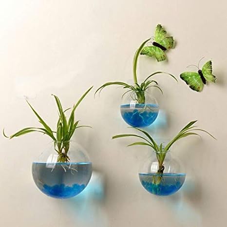 Amazon Co Jp 壁掛けガラス花瓶 ガラス ポトス屋内植物ホルダー花用壁ガラス花瓶フラワーベース けプランター壁装飾コンテナー 12cm ホーム キッチン