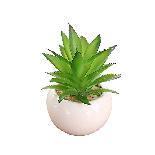 HIFUAR Realistic Artificial Green Succulent Plant Faux Potted Succulent for Home Indoor Decoration for Home(12x9cm)