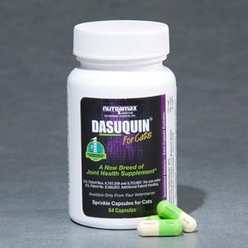 dasuquin liquid