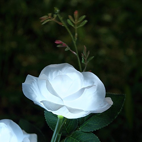 XLUX Outdoor Solar Powered Rose Lights Flower Stake, for Garden Patio Yard Christmas Pathway Decoration, White
