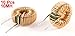 uxcell a13071500ux0192 10 Piece Toroid Core Inductor Wire Wind Wound 10MH 40mOhm 2 Amp, Coil