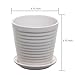 Set of 2 White Ceramic Ribbed Design Round Succulent Plant Pots/Small Decorative Herb Planters