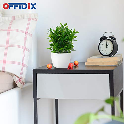 OFFIDIX Artificial Eucalyptus Plants with White Square Vase Small Artificial Tree for Office Desktop Decor Fake Plants for Home and Office Indoor Decorations - Thumbnail 5