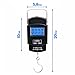 Electronic Fishing Scale - Large Bright LCD Screen - Stainless Steel Hanging Hook Scale and Handle - Measure in Lb/Kg/Oz Up To 110Lb/50Kg - Lightweight Fishing Gear – 2 AAA Batteries Included