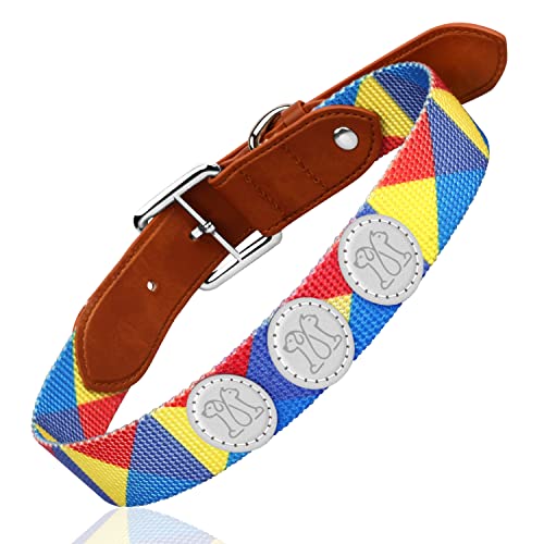 QUIQUE Roam Dog Collars for Medium Dogs/Small Dogs, Reflective