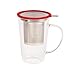 Glass Tea Cup With Infuser For Infusing Loose Tea - Gift Box Included (Red)