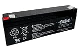 Casil CA1222 12v 2.2ah for FirstPower FP1223 DSC Alexor System BD2312 Replacemen