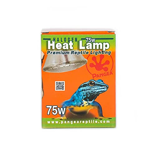 Pangea Halogen Heat Lamp (4Pack) for Reptiles (75 Watt) Pricepulse
